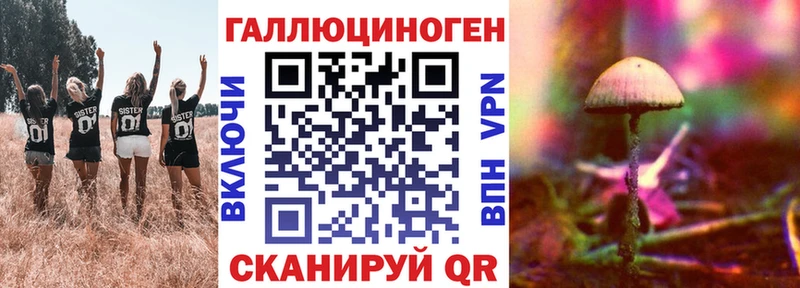 Псилоцибиновые грибы мухоморы цена наркотик кракен маркетплейс Салехард